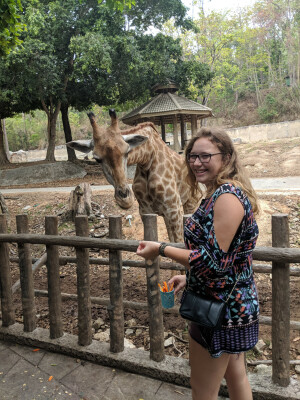 Renate is looking for a Rental Property / Apartment / Studio / Room in Delft